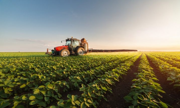 La valeur ajoutée agricole en baisse au premier trimestre 2024