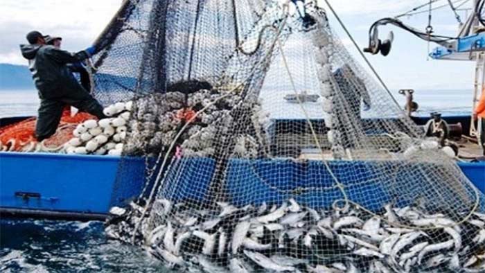 Port de Mehdia: baisse de 4% des débarquements de la pêche côtière et artisanale à fin juillet