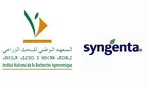 Productivité agricole : L’INRA et Syngenta présentent les résultats des essais menés dans le cadre de leur partenariat 2021-2024