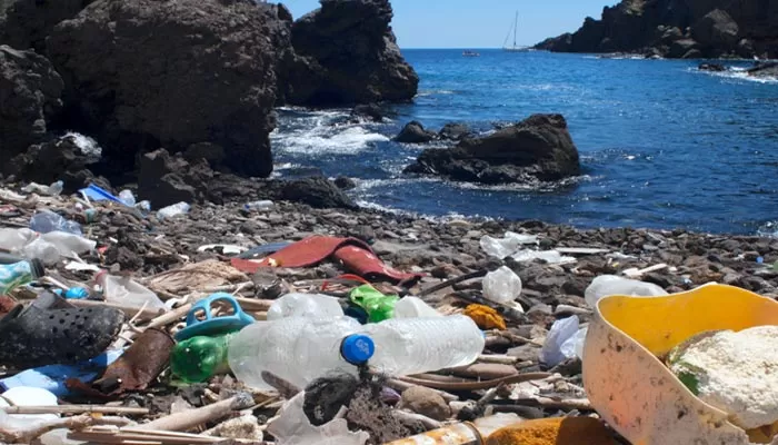 Le coût réel de la pollution des océans par les plastiques