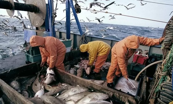 Pêche : Hausse de la valeur des produits commercialisés de 1% à fin mai