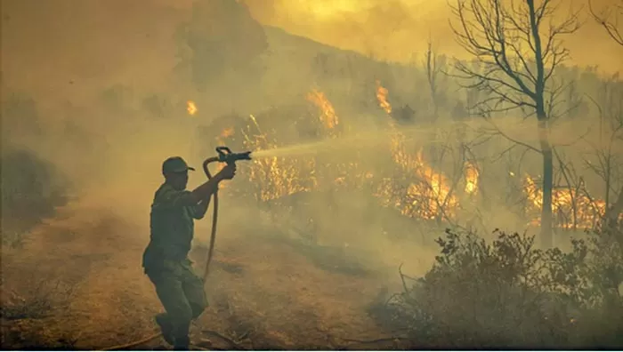 L’ANEF appelle à la vigilance face au risque d'incendies dans plusieurs régions du Royaume