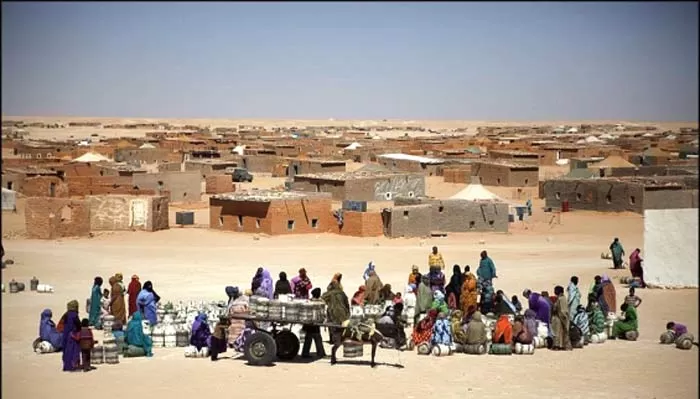 L’OMDH exhorte le HCR à recenser les habitants des camps de Tindouf et à garantir leurs droits fondamentaux