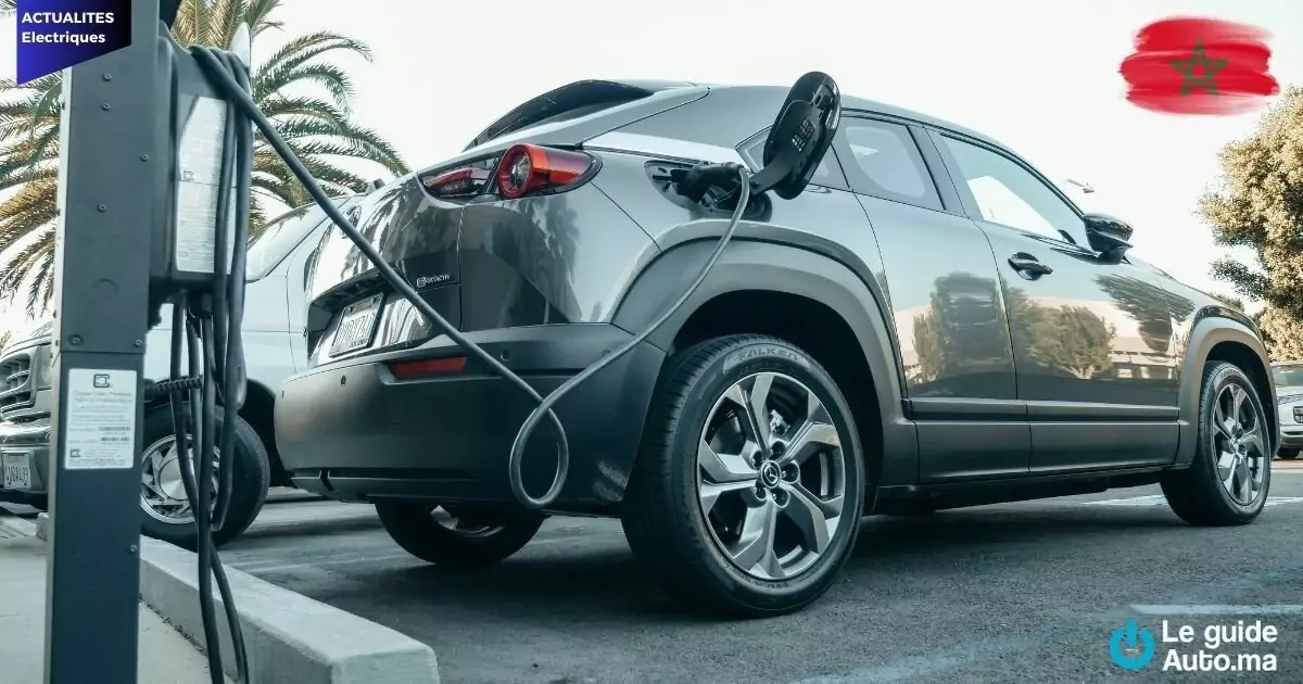 Voitures électriques : Les marques allemandes conservent la confiance des acheteurs à l’étranger