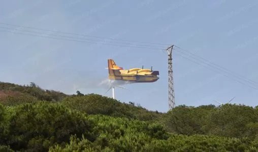 Le feu de forêt d'Ait Isha maîtrisé