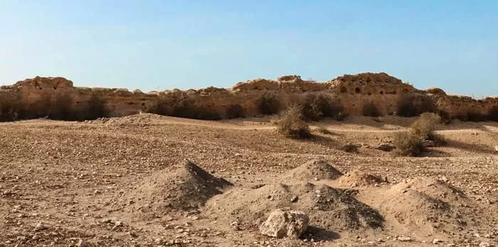 Lancement des fouilles archéologiques sur le site de l'ancienne cité de « Mouchtraya » à El Gharbia
