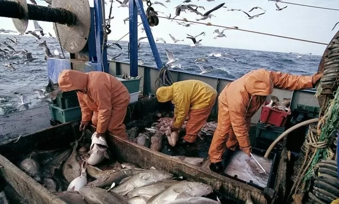 Sidi Ifni: Baisse de 57% des débarquements de la pêche à fin août