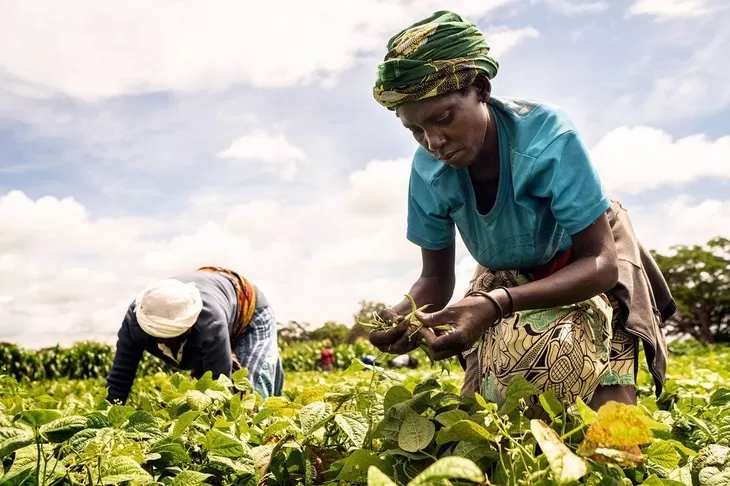 Comment le G20 peut contribuer à éradiquer la faim dans le monde